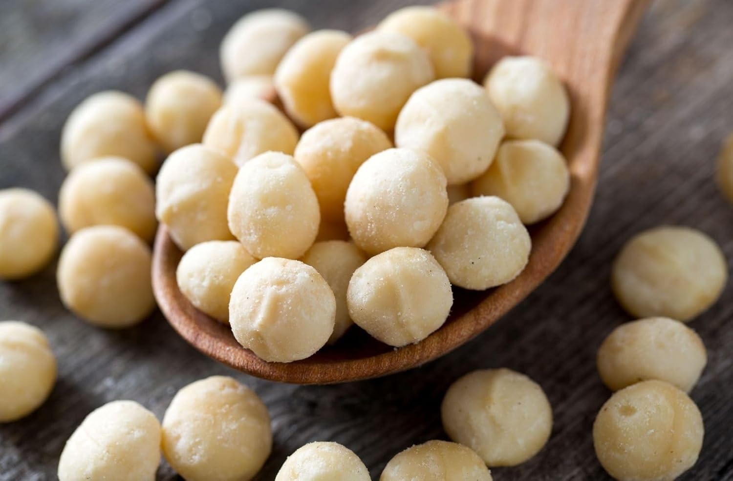 Australian Macadamia Nuts Big Size Crunchy and Roasted